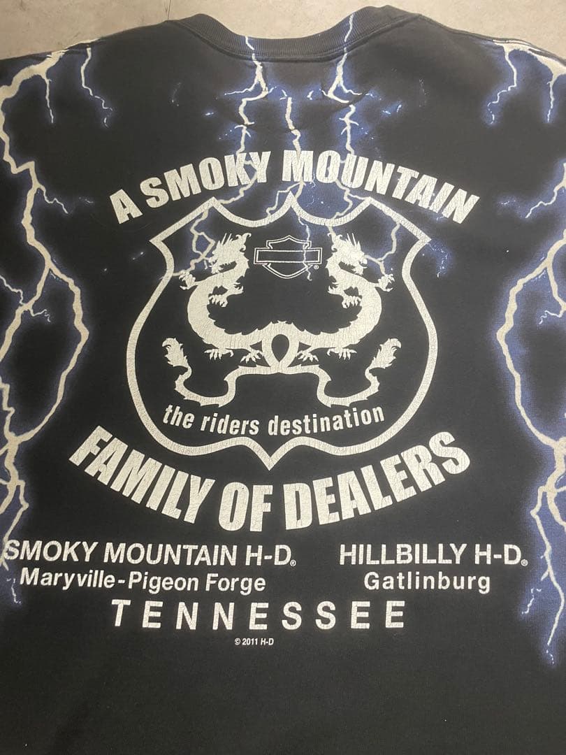 激レア！90sハーレーTシャツ！ブルーフレーム！