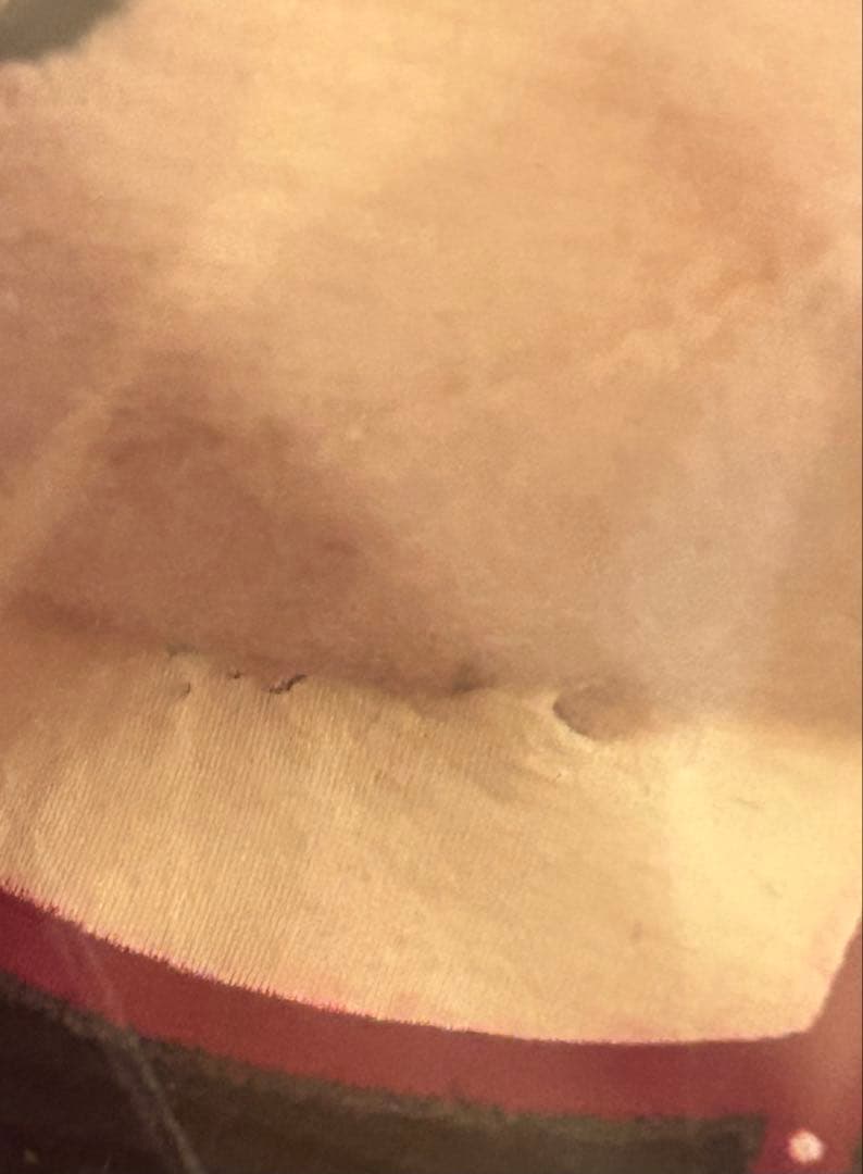 ときめきメモリアル Girl’s Side ときメモ　ペアぬいぐるみ　針谷幸之進