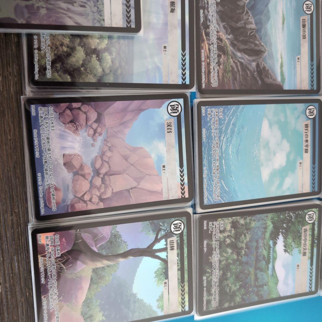 【大量追加しました】アニマルカードゲーム　領土カードPR クラファン限定