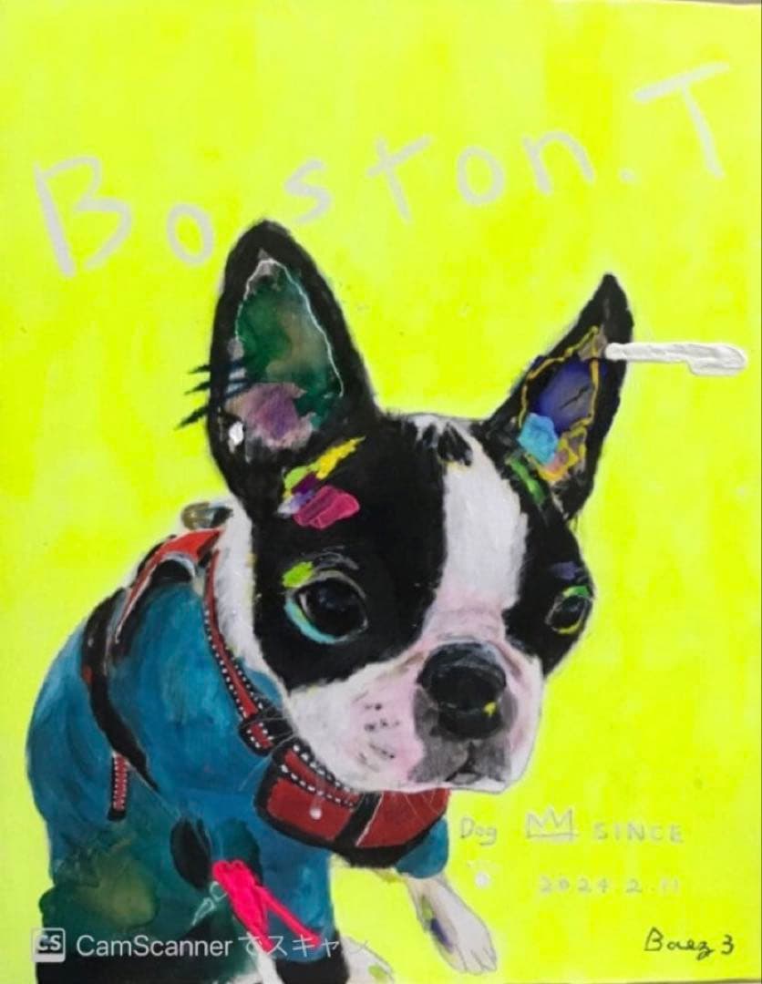 【IPA2】アイドル　犬　ボストンテリア　キャンバスF6号サイズ　BAEZ3