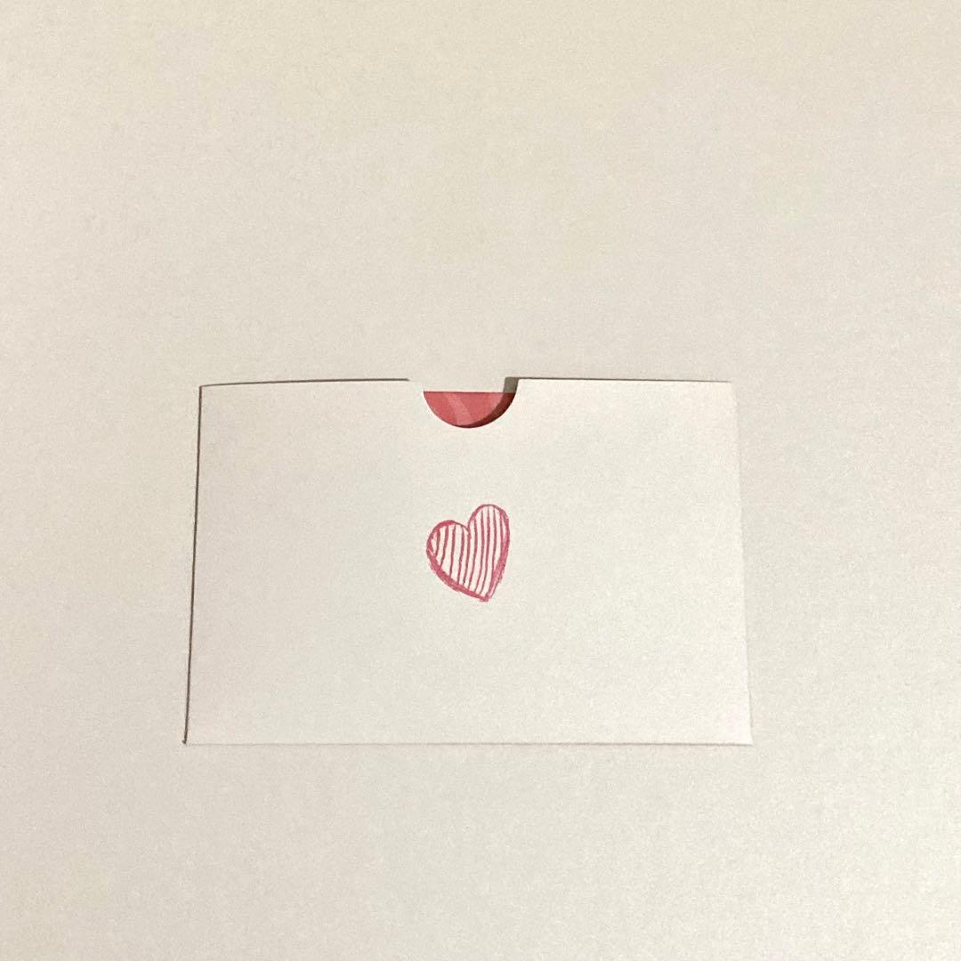 LABUBU Catch Me If You Like Me ぬいぐるみ 黒