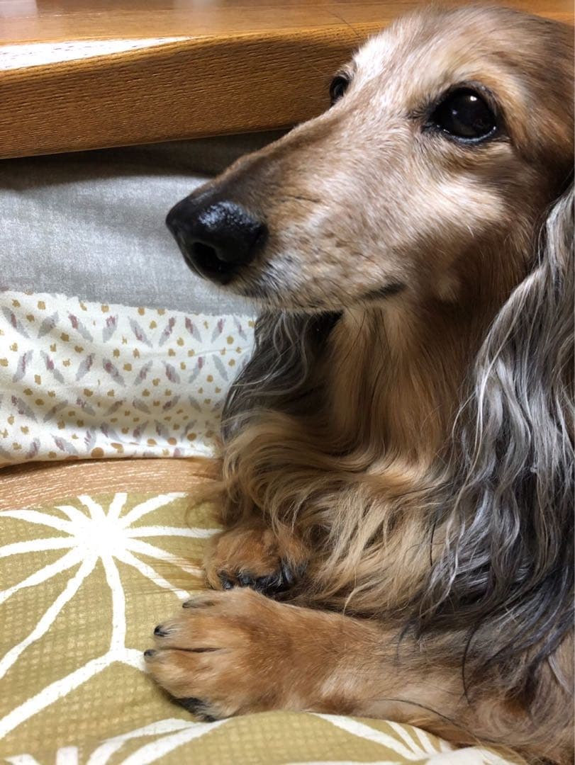 ウォーター様ご連絡用