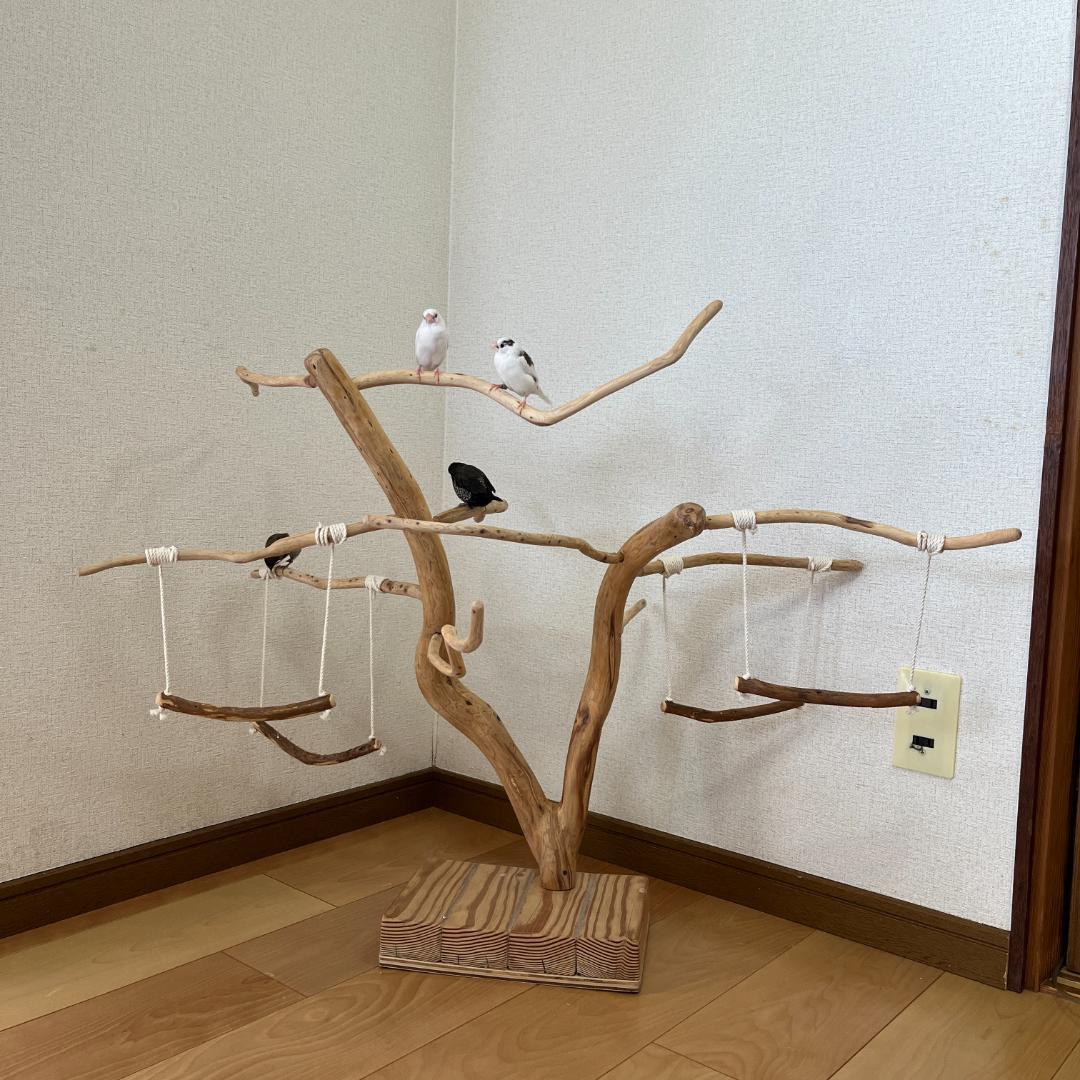 【小鳥用】ブランコ付くねくねバードアスレチック