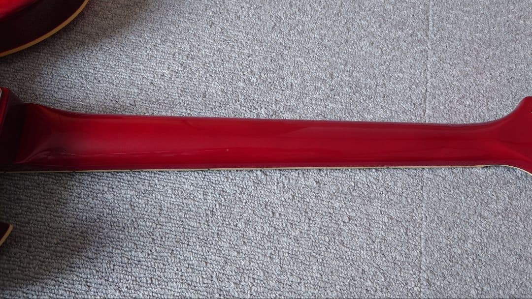 Burny モッキンバード