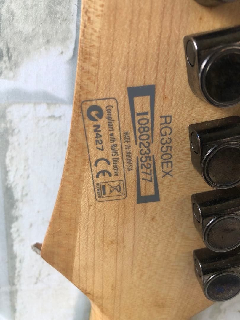 Ibanez RGシリーズ(MADE IN INDONESIA)(A30)