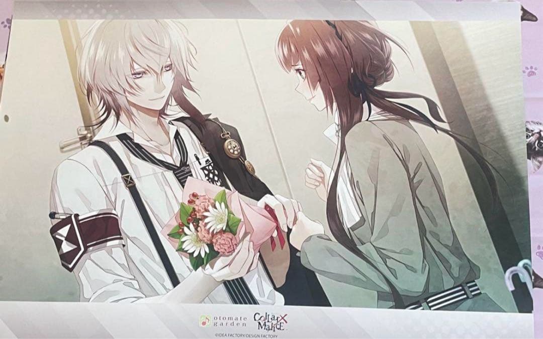 カラマリ ランチョン 岡崎 12枚 まとめ売り