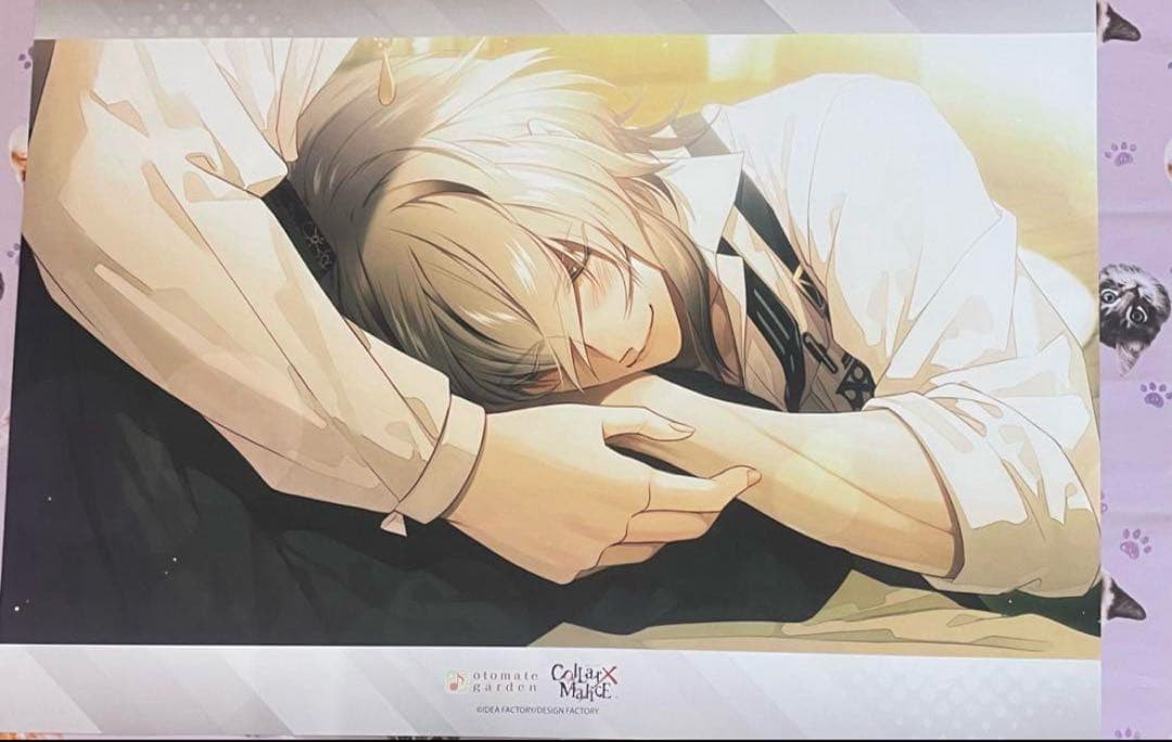 カラマリ ランチョン 岡崎 12枚 まとめ売り