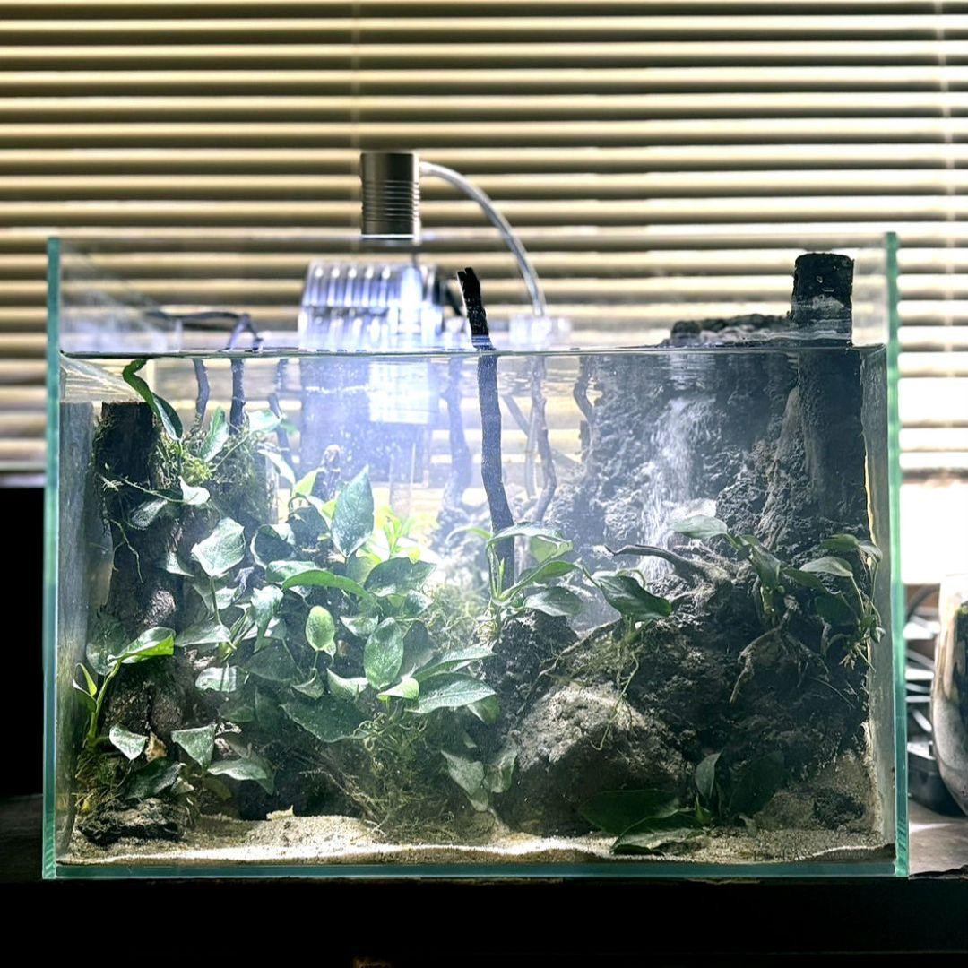 砂の滝の流れるアクアテラリウム　アクアリウム　No.1137