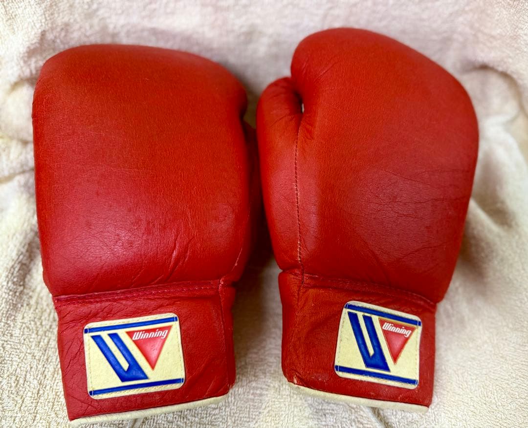 Winning ボクシンググローブ 10 oz 赤　ソフトタイプ