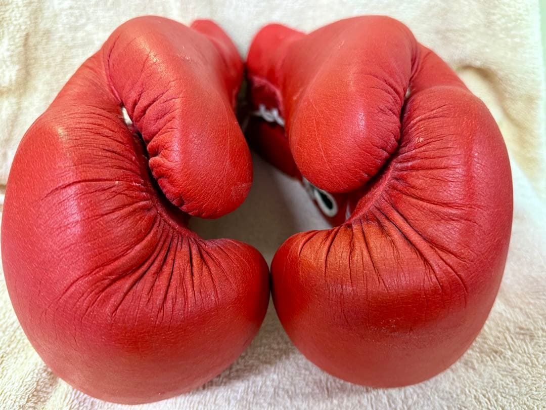 Winning ボクシンググローブ 10 oz 赤　ソフトタイプ