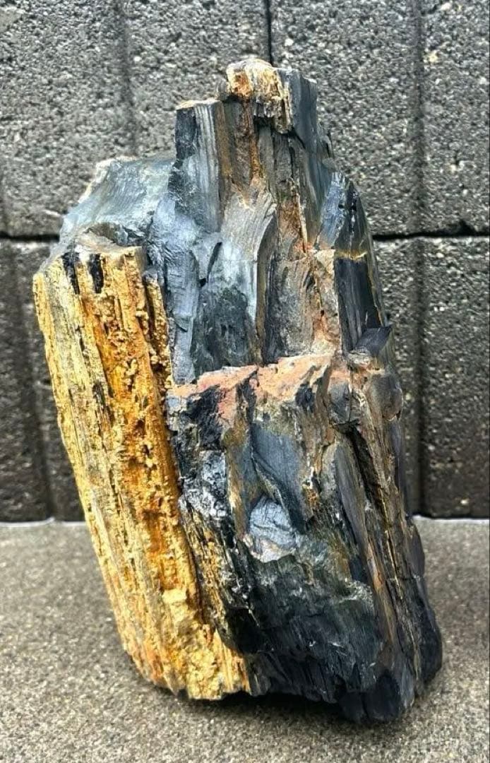 北海道　遠軽町瀬戸瀬産　特大　木化石　パワーストーン　5.4kg アクアリウム