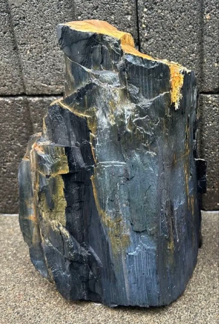 北海道　遠軽町瀬戸瀬産　特大　木化石　パワーストーン　5.4kg アクアリウム