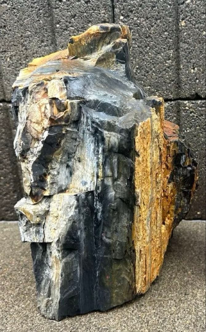 北海道　遠軽町瀬戸瀬産　特大　木化石　パワーストーン　5.4kg アクアリウム