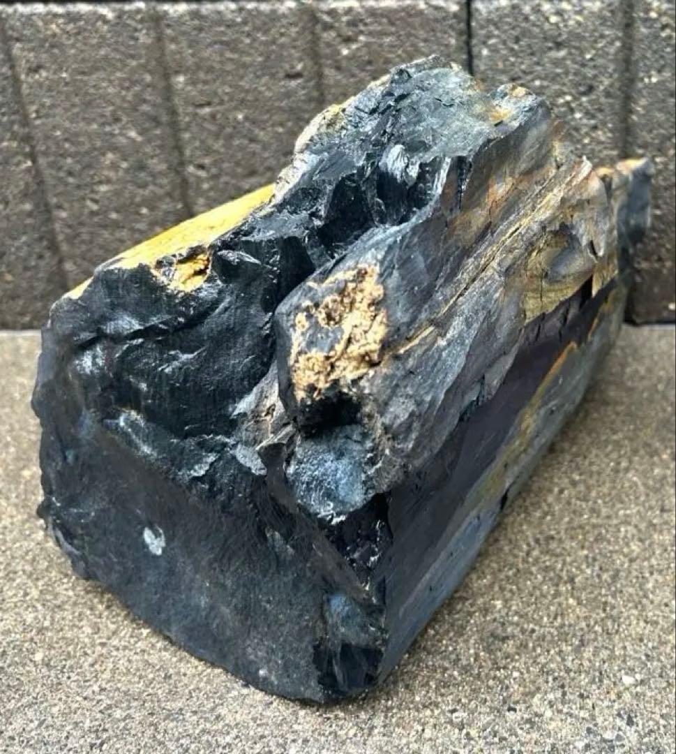 北海道　遠軽町瀬戸瀬産　特大　木化石　パワーストーン　5.4kg アクアリウム