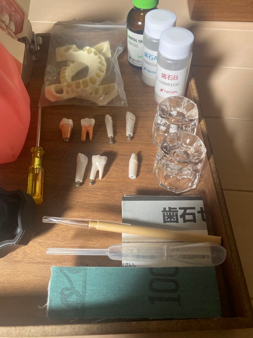 顎模型　人工歯石　セット売り　歯科