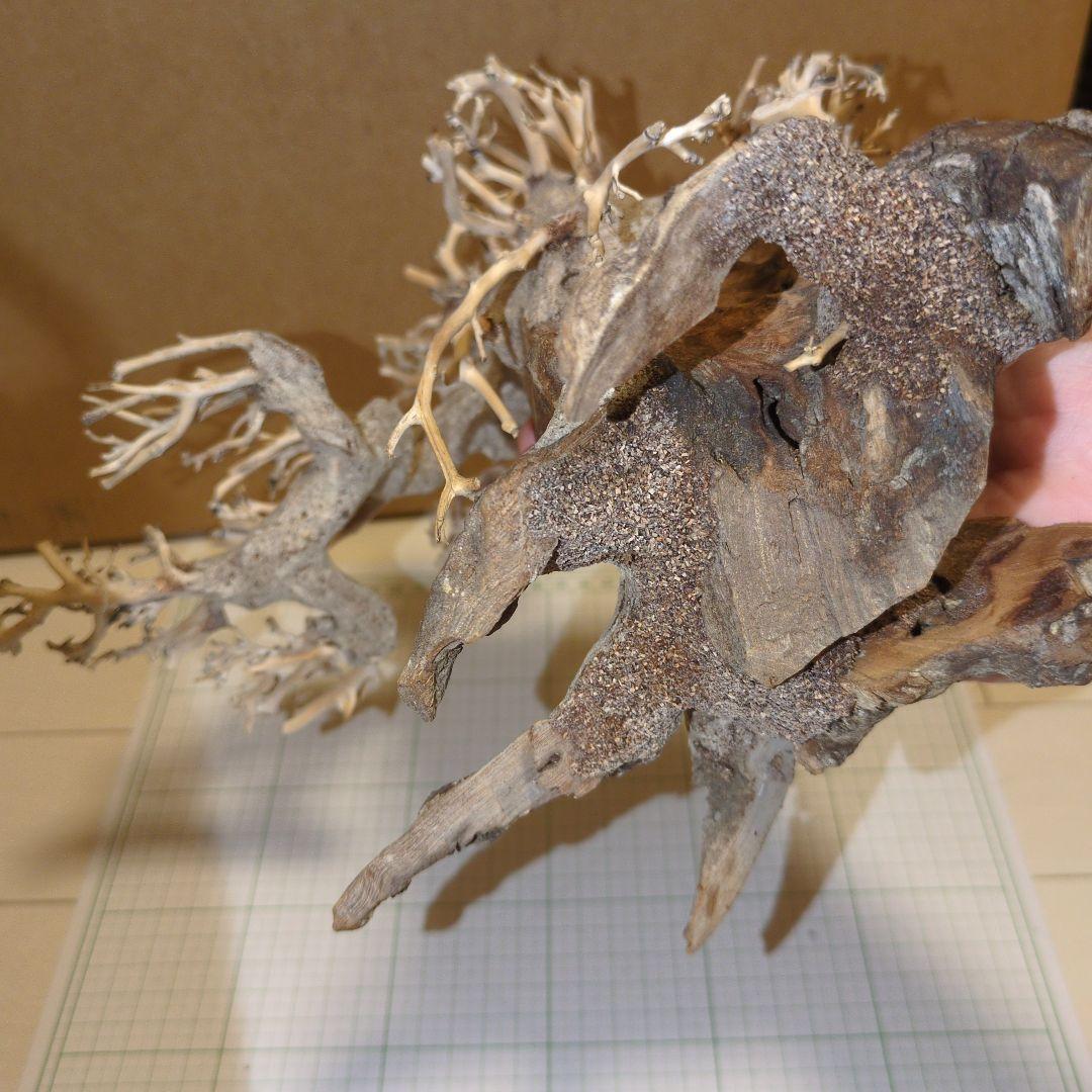 水槽用　盆栽流木