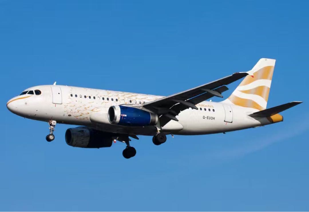 BA ブリティッシュ・エアウェイズAviationtag A319-100