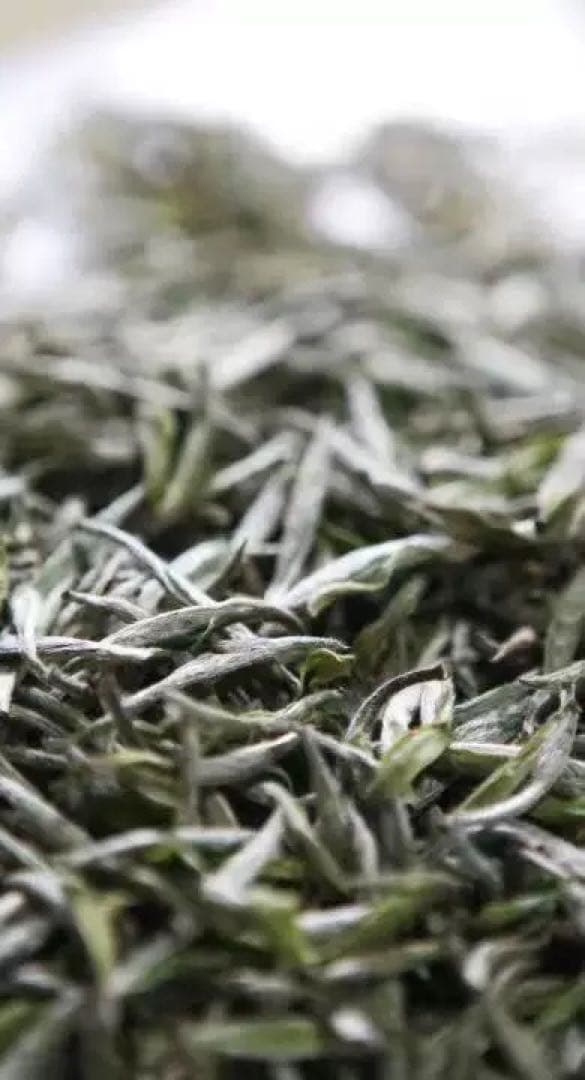 福鼎白茶の白毫銀針「福政号・仙鶴神針」限定コレクション