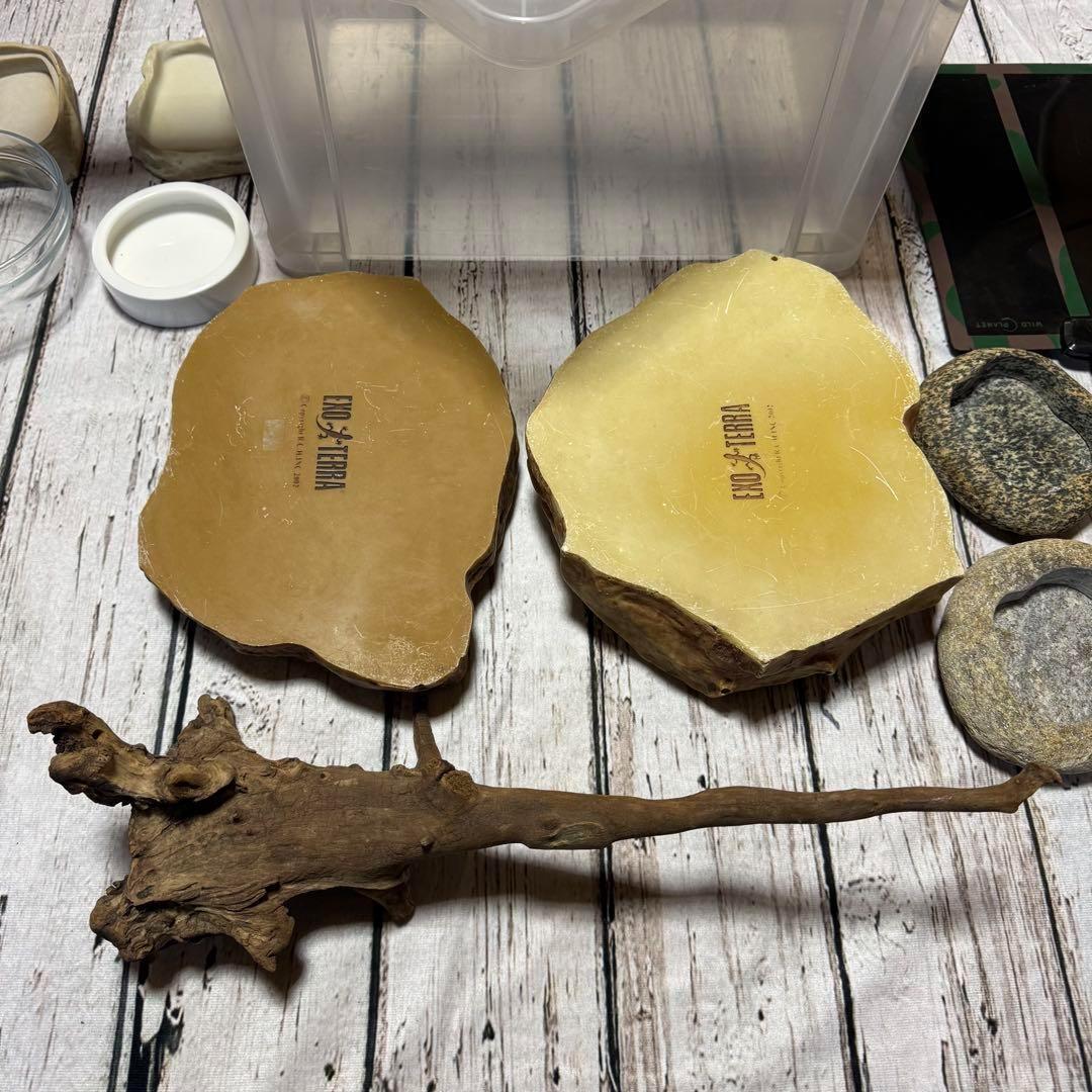 超お買い得セット　匿名配送　送料無料　飼育用品セット　餌皿　エキゾテラ　ボックス