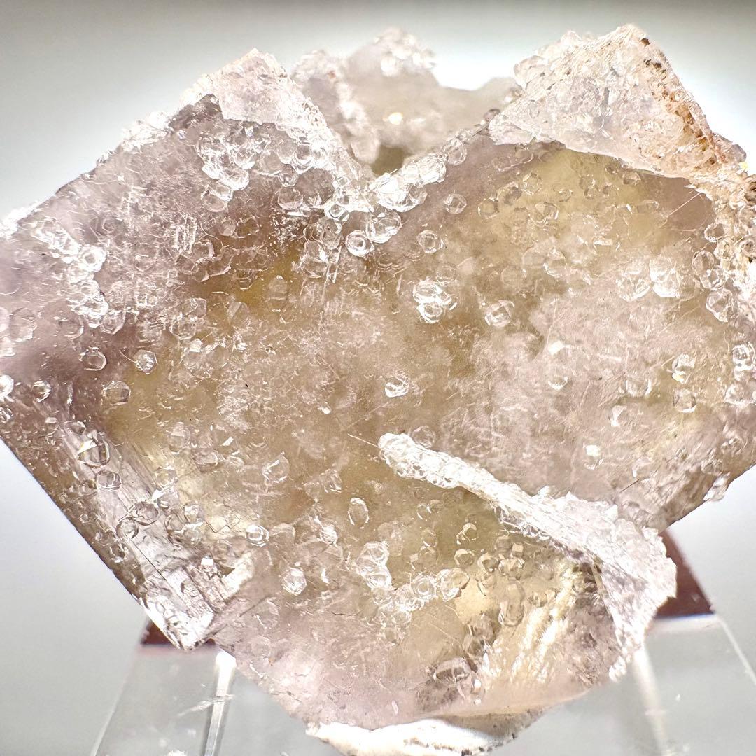 581 イギリス　シェリーツインズポケット　フローライト