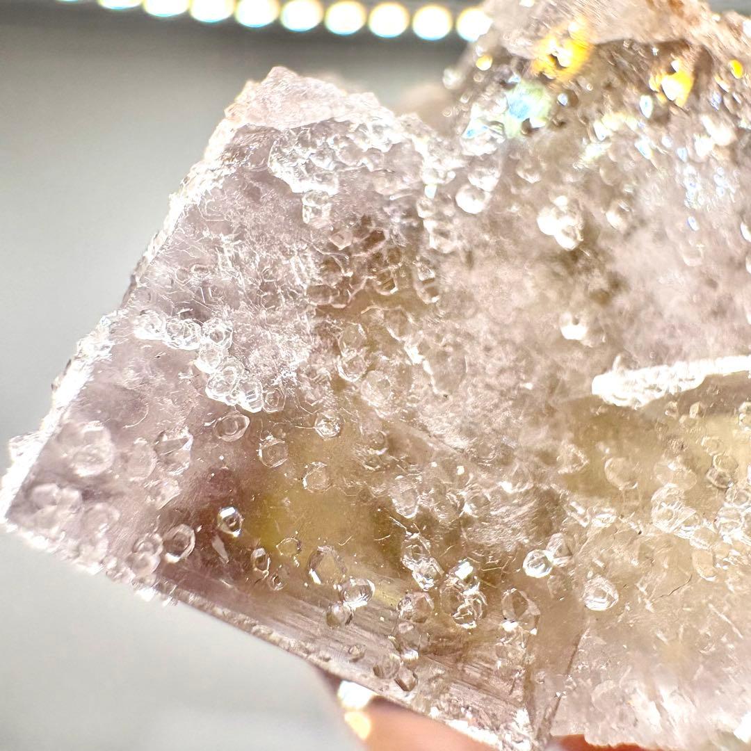 581 イギリス　シェリーツインズポケット　フローライト