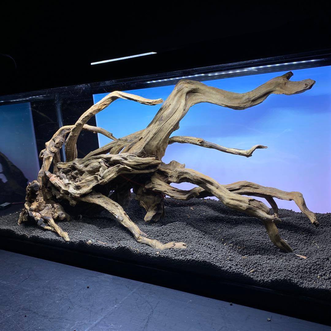 MSRW-6382 天然流木レイアウトセット　スリムウッド　アクアリウム