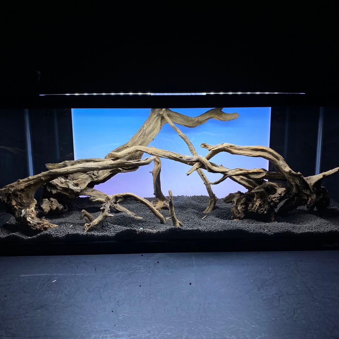 MSRW-6382 天然流木レイアウトセット　スリムウッド　アクアリウム