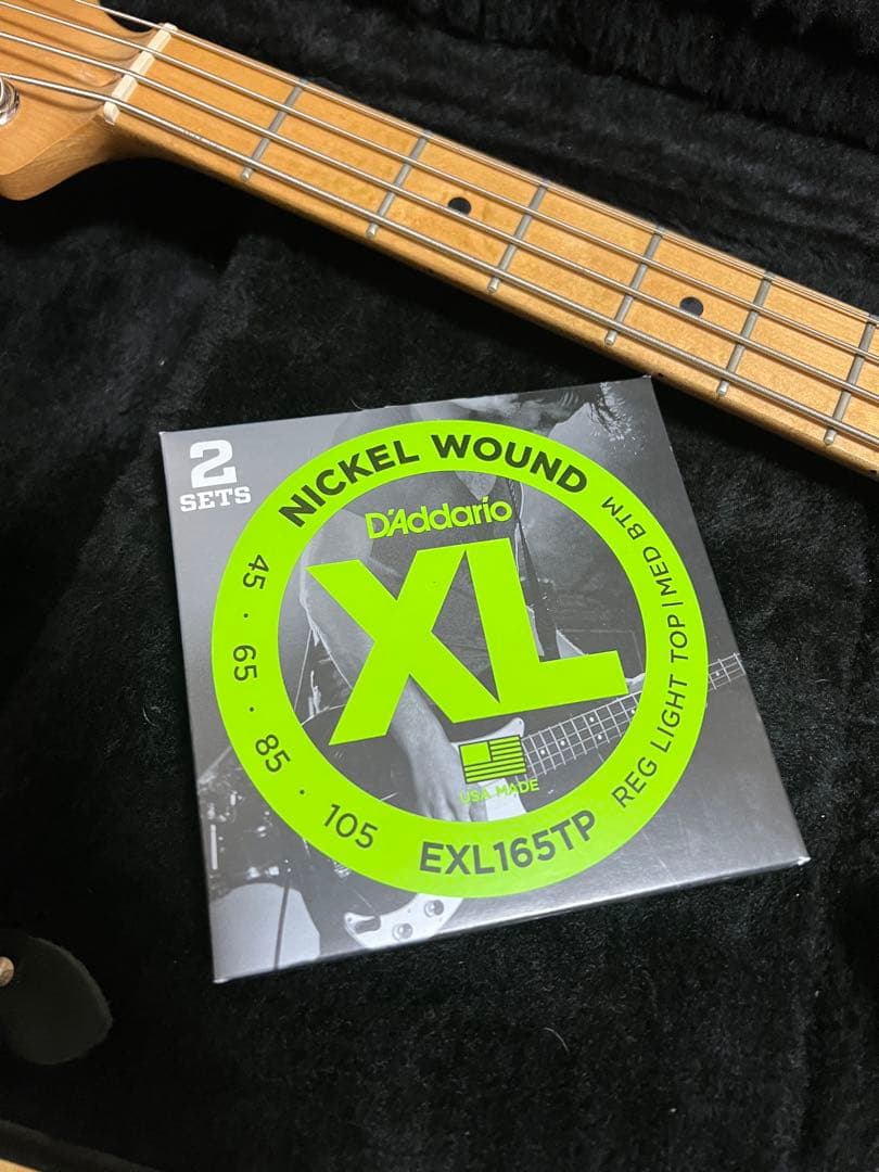 G&L tribute L-2000 g&g ハードケース　l2000