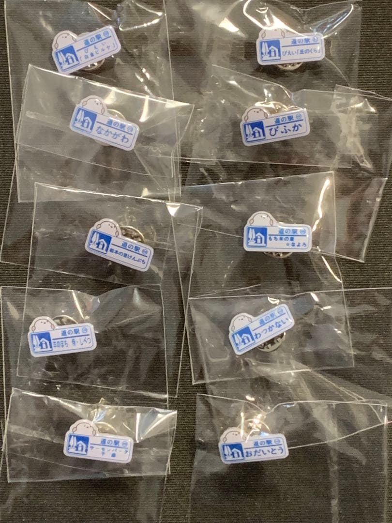 菊池しょんしょん シマエナガコラボピンズ10個セット