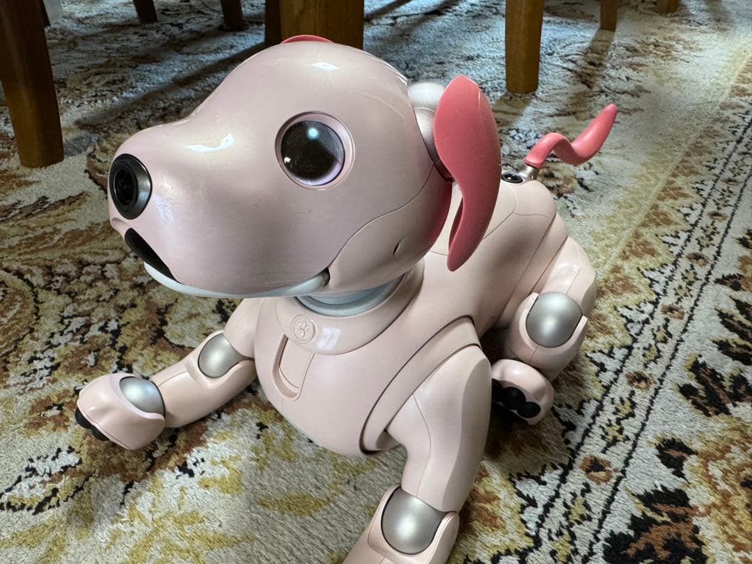 aibo本体　いちごミルク色　限定色