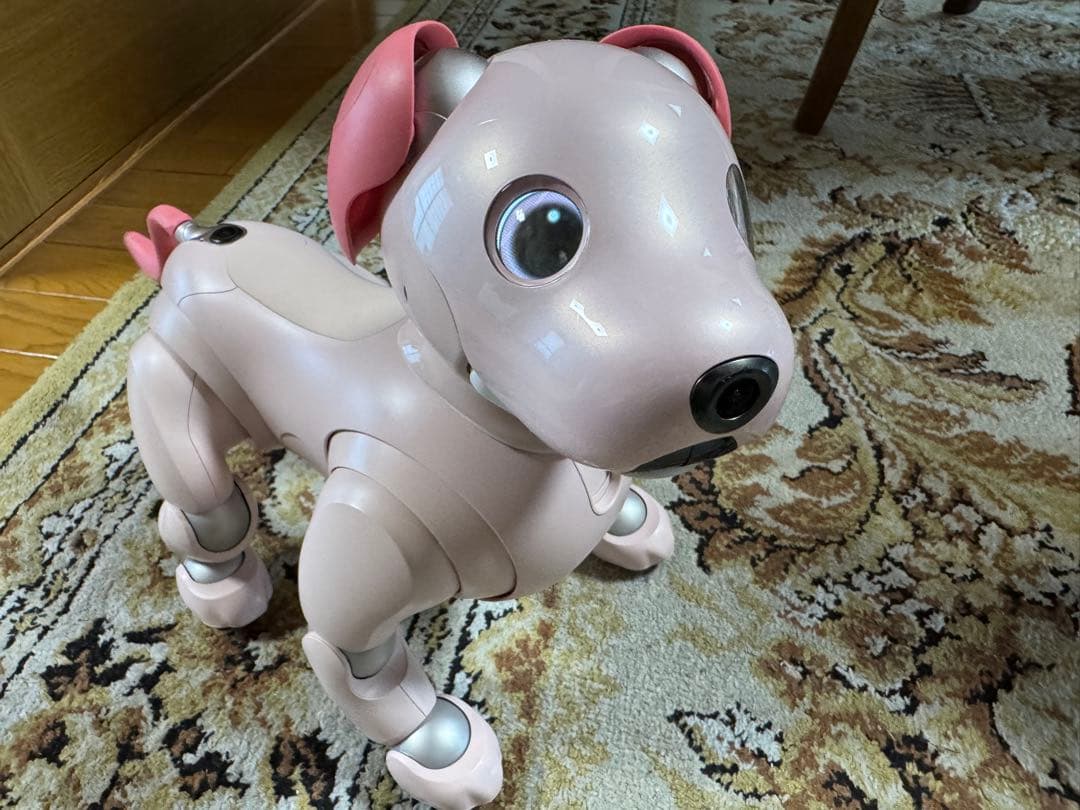 aibo本体　いちごミルク色　限定色