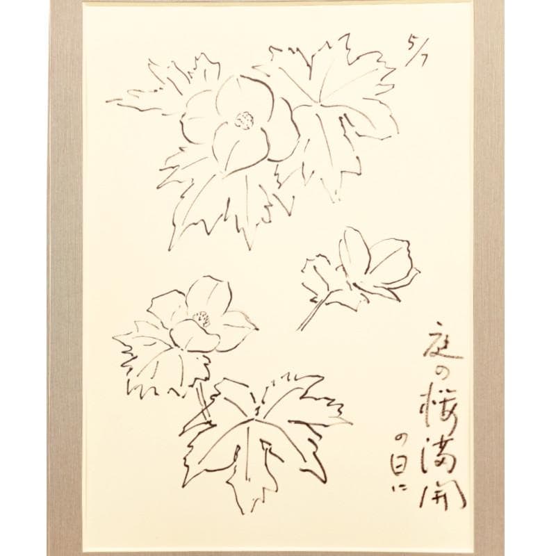 ☆坂本直行☆「 しらねあおい（庭の桜満開の日に）」ペン画！
