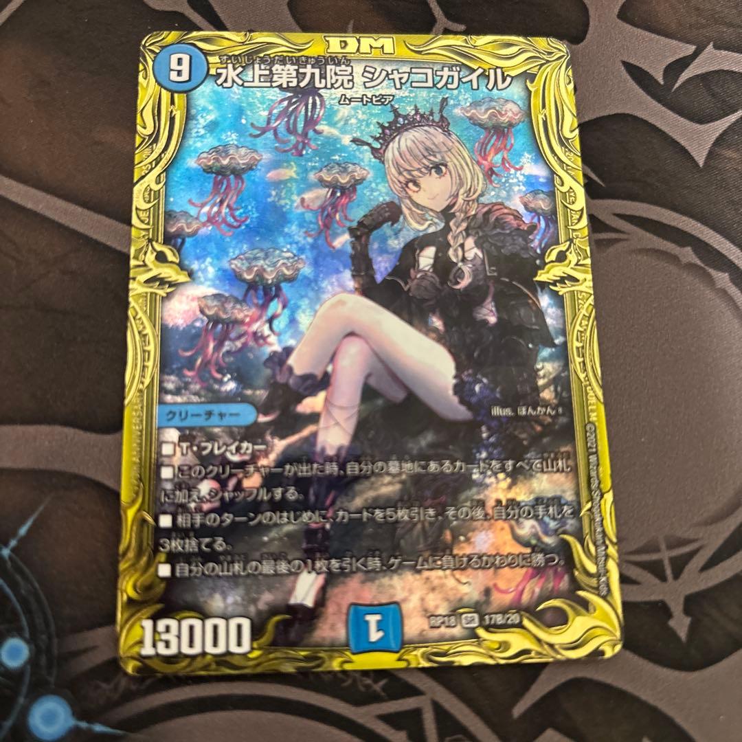 シャコガイル　b