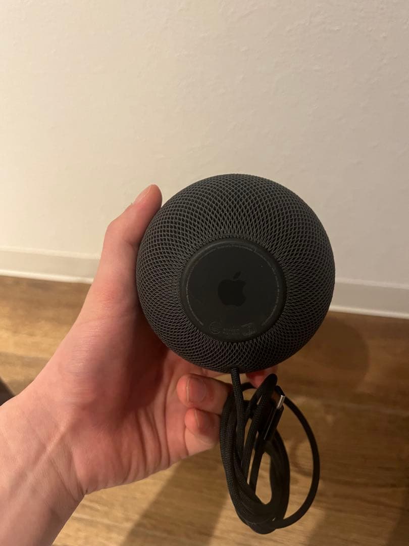 pod mini apple アダプターなし