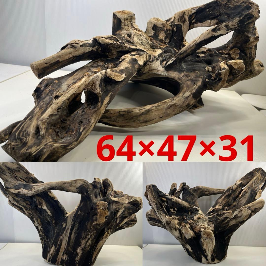 k90特大流木 アク抜き済み 爬虫類シェルター レイアウト用 登り木 インテリア