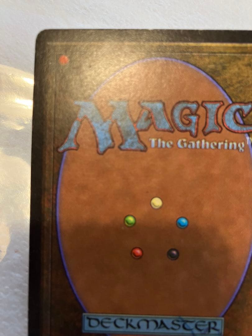 マジック:ザ・ギャザリング MTG Taiga