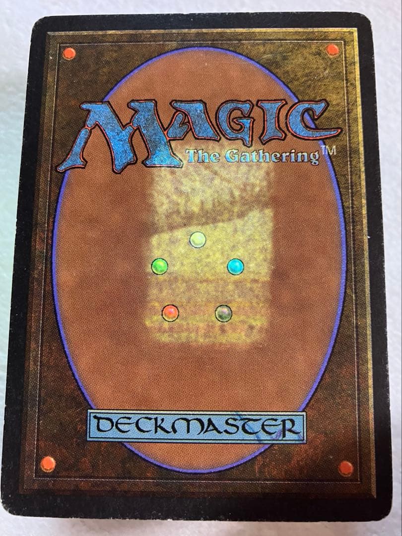 マジック:ザ・ギャザリング MTG Taiga