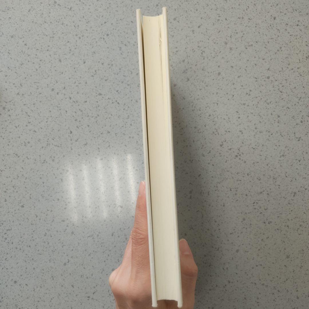 プロジェクトとパッション エンツォ・マリ