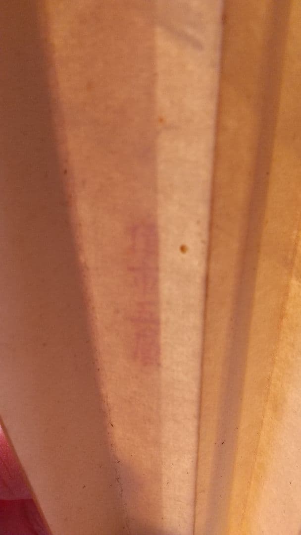 中国 子安刻 山水扇子 要破損 書画篆刻 頂布五層 舒蓮記監製？