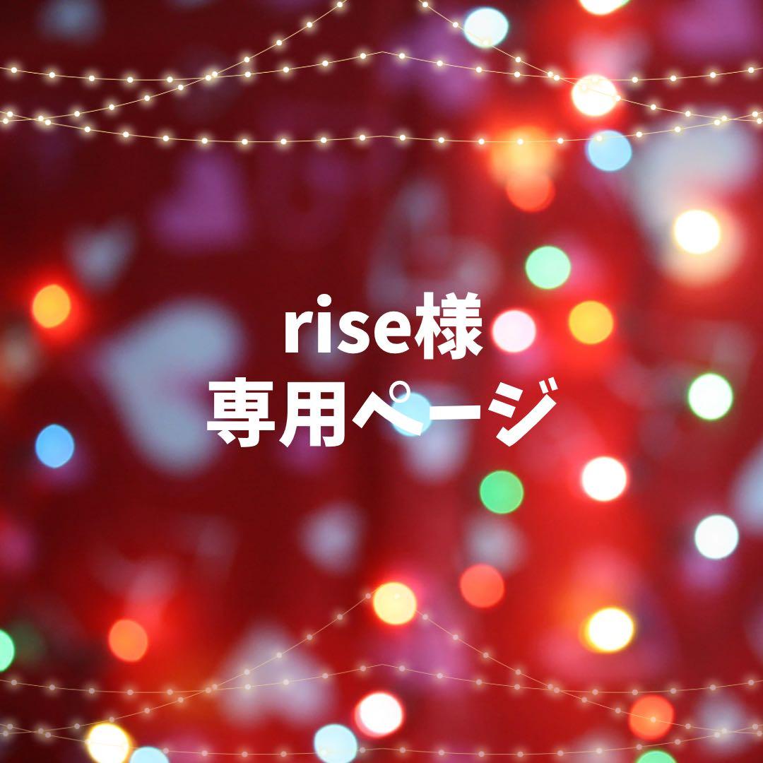 ヘアドライヤー rise