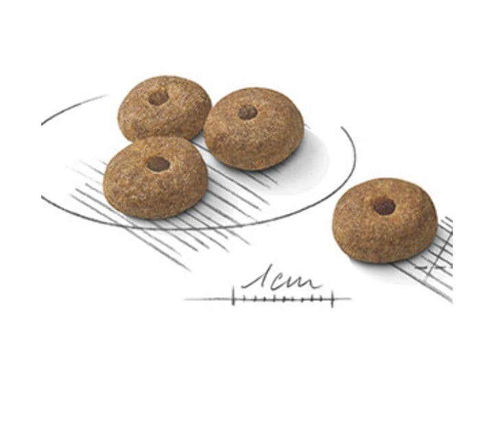 ロイヤルカナン ミニステアライズド 8kg 二袋 計16kg