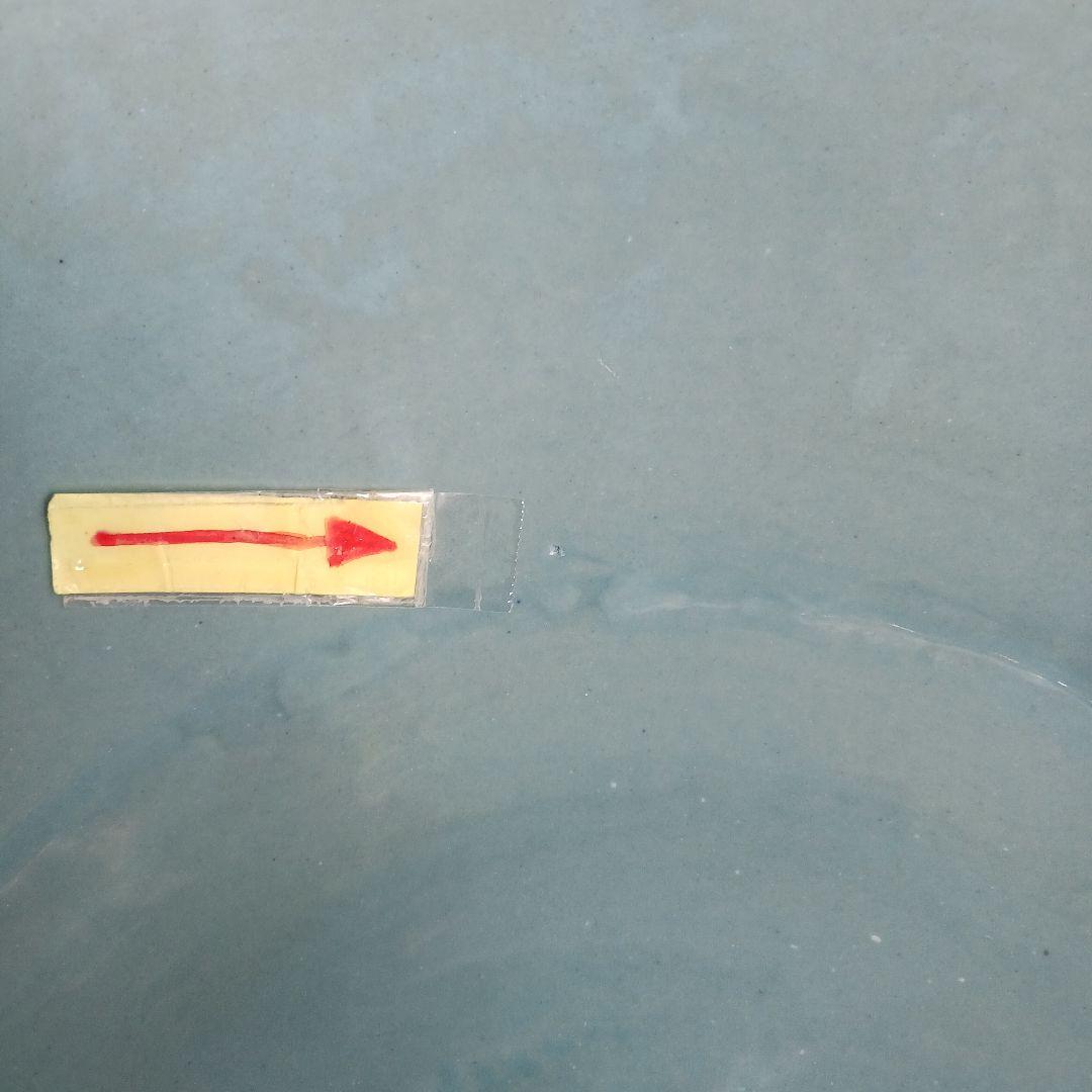 新品　∅50　陶器　睡蓮鉢　特大　難有　メダカ鉢　手書き絵　花柄　手造　LFB1