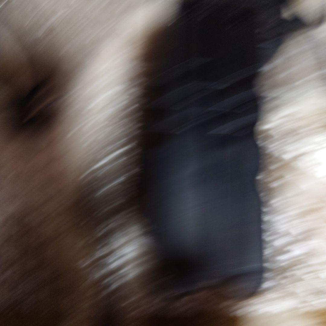 BURTLE２台セットアダプターは1個