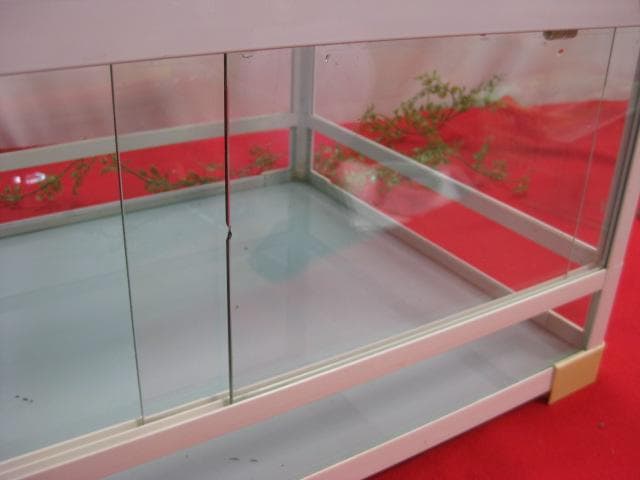 16WA2142 REPTI WILDパンテオン爬虫類ケースW60H30