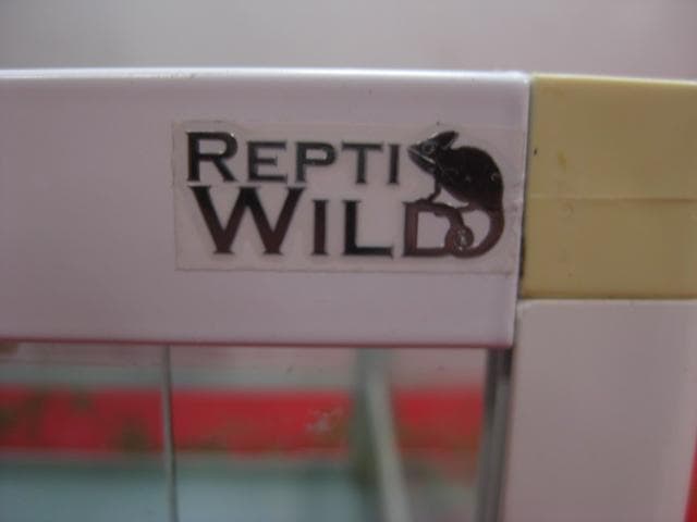 16WA2142 REPTI WILDパンテオン爬虫類ケースW60H30