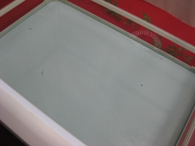 16WA2142 REPTI WILDパンテオン爬虫類ケースW60H30