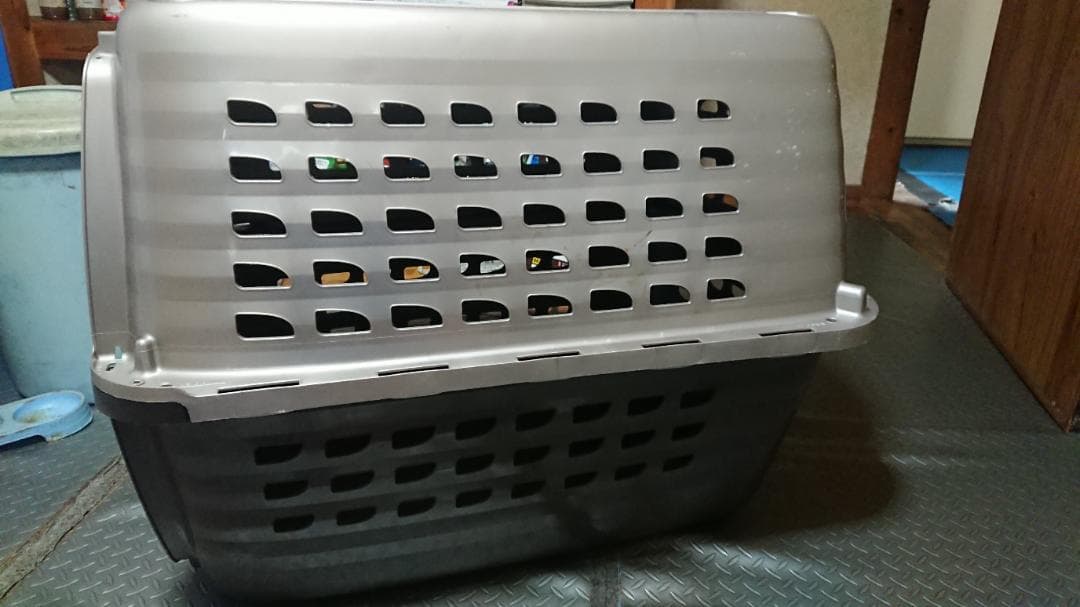 バリケンネルXL ももさん専用