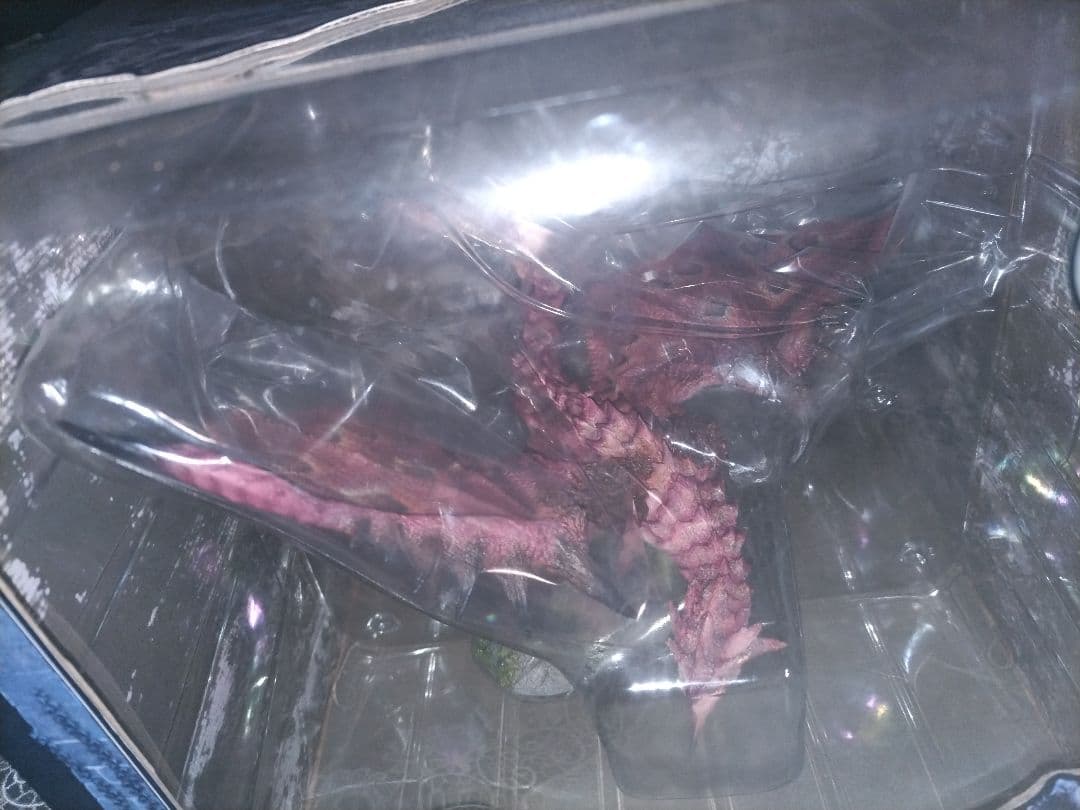 【未開封】クリエイターズモデル　リオレイア亜種