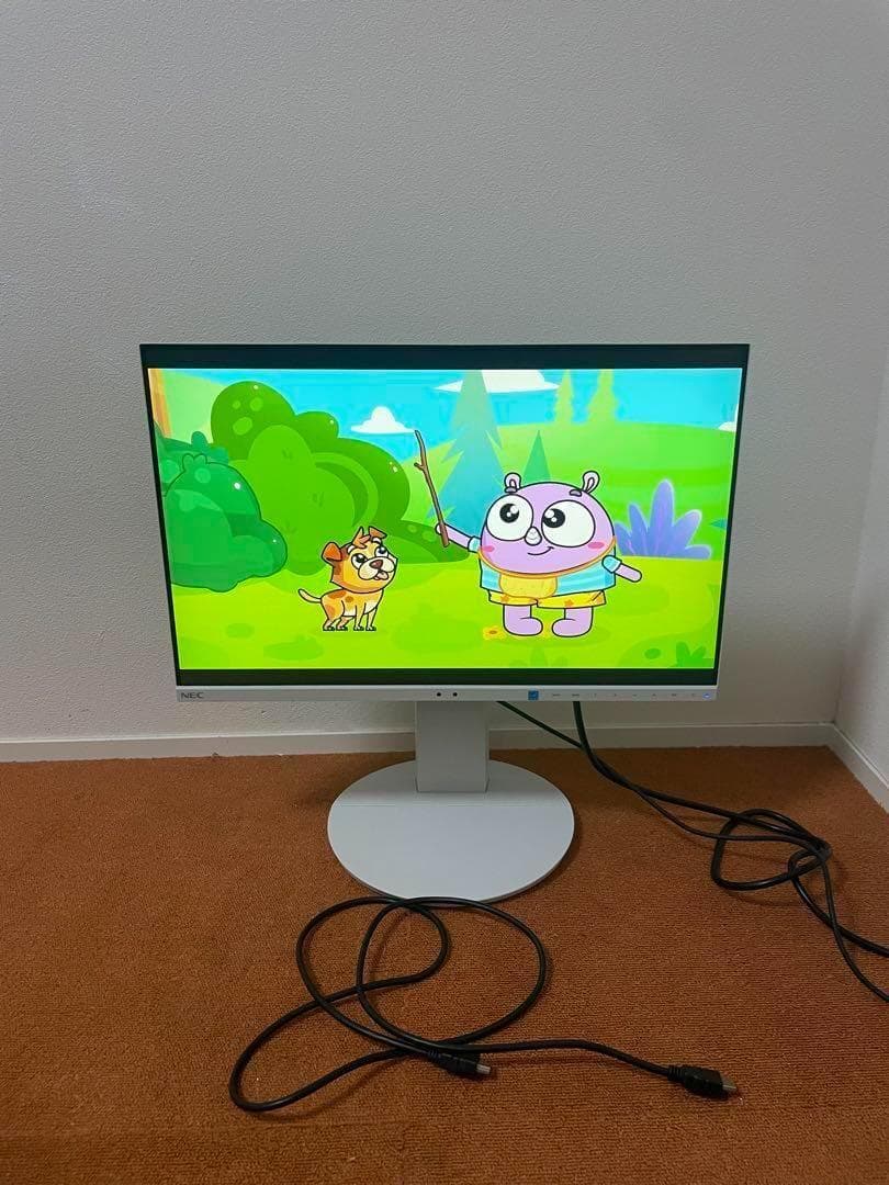 NEC MultiSync 19年製LCD-EA231WUモニター ディスプレイ