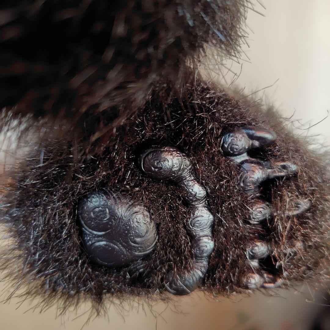 SEGA　セガトイズ　夢パンダ